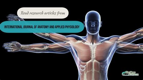 In journal of applied physiology. Read research articles from "International Journal of ...