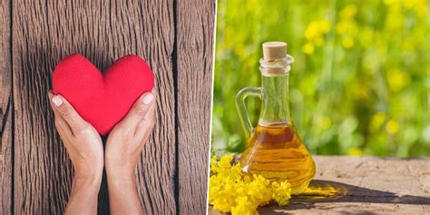 Vkool.com will show you top 17 different uses and benefits of canola oil for hair treatment, hair loss, breakage, etc. Health Benefits Of Cooking With Canola Oil