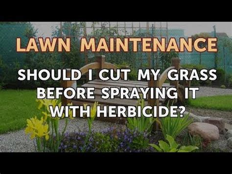 What are the benefits of letting it grow longer in hot weather? Should I Cut My Grass Before Spraying It With Herbicide ...