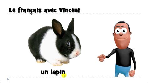 الفرنسية بما فيها القواعد ، المفردات و التمارين لهم دور مهم. تعلم مفردات اللغة الفرنسية # un lapin - YouTube