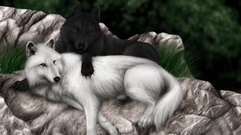 Black fox illustration, wolf, animals, artwork, creativity, black background. wallpaper hd mobile,animal photos, amazing,wolf, 4k stock ...
