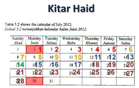 Dalam kitaran haid yang berlaku selama 28 hari, fasa yang berlaku ialah Kitar Haid Bagi Perempuan