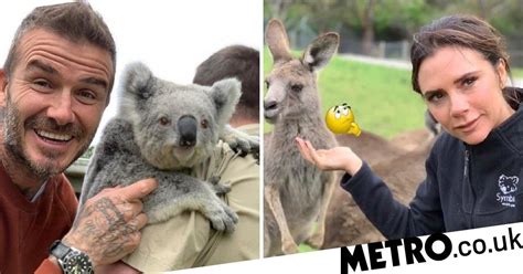 David beckham is one of the top former english professional footballers in england who has won three fifa world cups for the country. Victoria Beckham cracks a smile for the kangaroos during ...