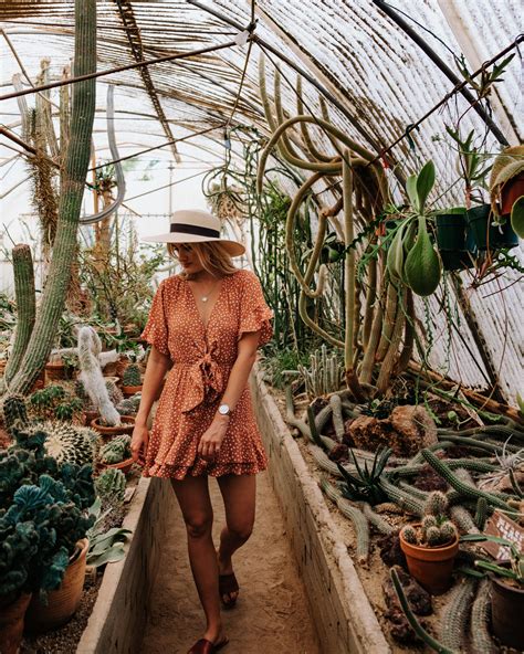 And edna perry built the lodge in 1941. Photo Diary: Exploring Moorten Botanical Gardens in Palm ...