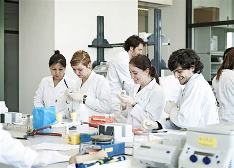 Schwerpunkt molekulare biologie im bachelor biologie. Biologie Uniwien Bachelorarbeit / Search Results For ...