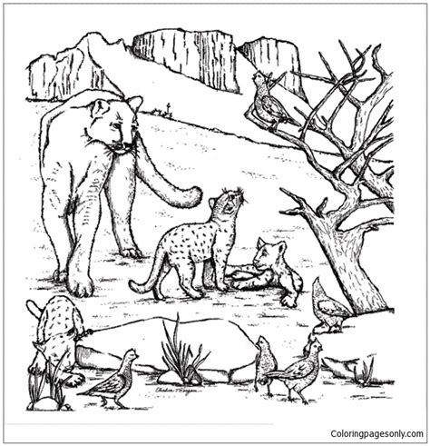 Cut out the shape and use it for coloring, crafts, stencils, and more. West Texas Mountain Lion Coloring Pages - Nature & Seasons ...