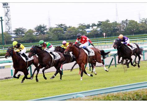 Отказаться от подписки на канал プロ競馬予想tv公式_jra《japan horse racing officials》? JRA関東・新人騎手の「悲惨すぎる」現状……「騎乗停止 ...