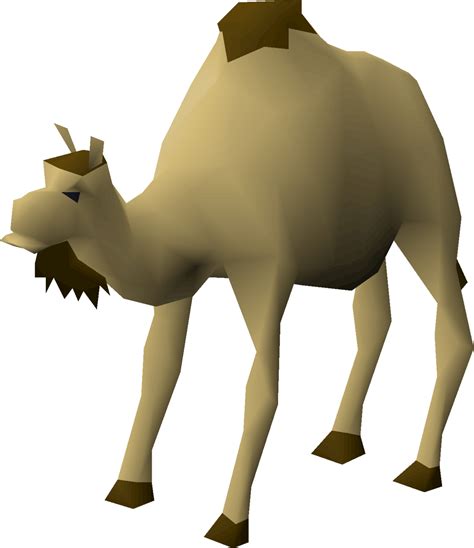 They always say how unhappy they are in the lamp, but then they push the guy to hurry up and make his three wishes so that the. Cam the Camel - OSRS Wiki