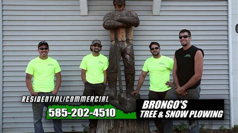 This list will help you pick the right pro tree service in new york. Brongo's Tree Service - Rochester, NY - YouTube