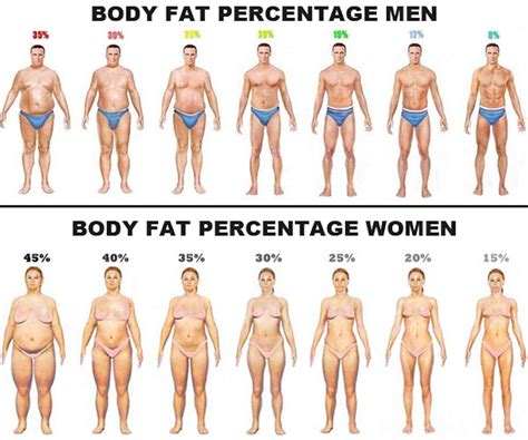 How to measure & track your body fat percentage. Body Fat Percentage, Not Body Mass Index