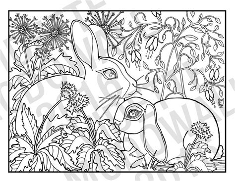 Free coloring sheets to print and download. Rabbits: A Printable Adult Coloring Page | Etsy