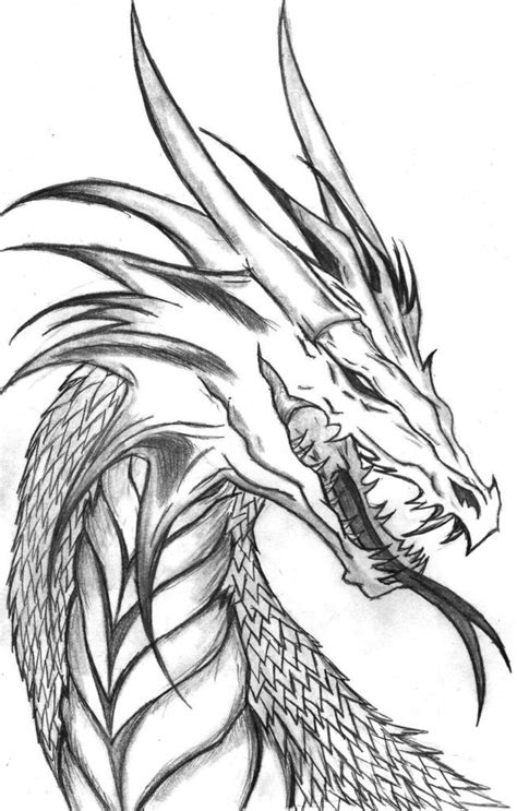 Find the best coloring pages for adults and enjoy coloring them. Free Printable Adult Dragon Coloring Pages - Coloring Home