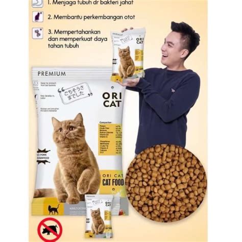 Ini penyakit yang sering muncul di musim penghujan. Cara Menjaga Daya Tahan Tubuh Kucing / 12 Rekomendasi ...