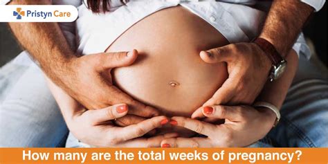 How soon can you take a pregnancy test? How many are the total weeks of pregnancy? - Pristyn Care