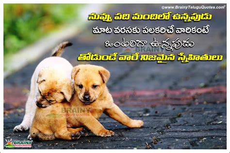 You can save these quotes as a birthday note too. Beautiful Telugu Friendship Quotes with Images | BrainyTeluguQuotes.comTelugu quotes|English ...