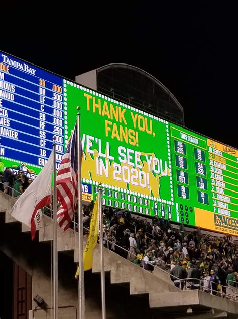 In wild cards, you attract animals from a variety of cunning species, offering them beautiful habitats to live in. A pic I took after the A's lost in the 2019 Wild Card Game ...