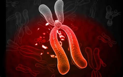 Nonetheless, there is quite a lot of difference between plant cell and animal cell. Job Spotlight: Cytogenetic Technologist - STEMJobs