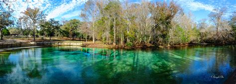 Kirby gilchrist blue springs state park may not be long, a little less than a mile, but it has a variety of topography, ecosystems, wildlife and habitats to experience. DSCF3381-Pano | Ruth B. Kirby Gilchrist Blue Springs State ...