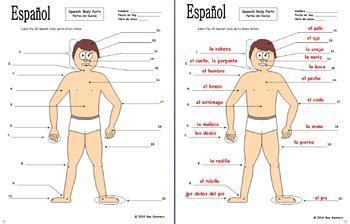 I have a ba in spanish and international relations from lake forest college in lake forest, il, and an ma in spanish language and culture from the. Spanish Body Parts Diagram to Label with 20 Body Parts by ...