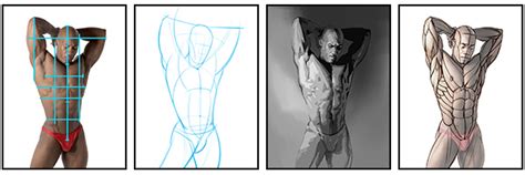 Anatomytools.com provides highly detailed male and female anatomical reference models, artist busts, instructional dvds, armatures and workshops used by fx artists, 3d artists, medical professionals and sculptors. How to Draw and Shade the Human Torso | Proko