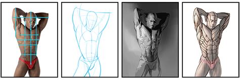 This was shot with a main light octodome and a small softbox for fill. How to Draw and Shade the Human Torso | Proko