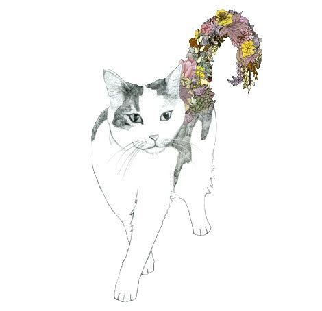 Pnghunter is a stock image website where you can find transparent png images for your design project. morutan | キャットアート, アイデアを描く, イラストレーター