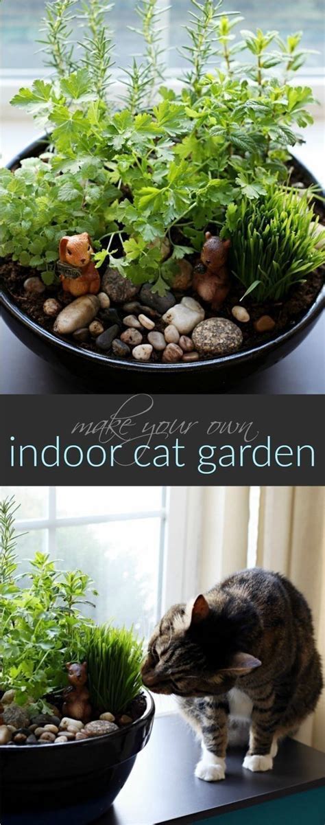 This is inhumane, and is against the laws in most areas. Terrace Garden - How to Make Your Own DIY Indoor Cat ...