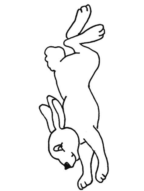 These rabbit coloring pictures will surely enhance your child's artistic abilities. Rabbit Coloring Pages - 321 Coloring Pages
