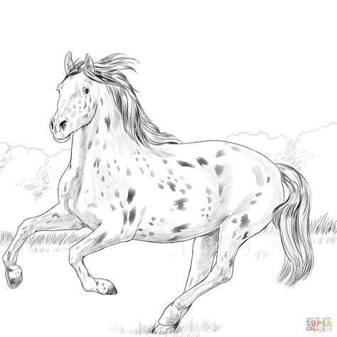 Free realistic horse coloring pages to print design and ideas. Knabstrupper Horse coloring page | Free Printable Coloring Pages