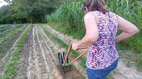 Check spelling or type a new query. Black Widow Spider HIDDEN in GRASS! - YouTube