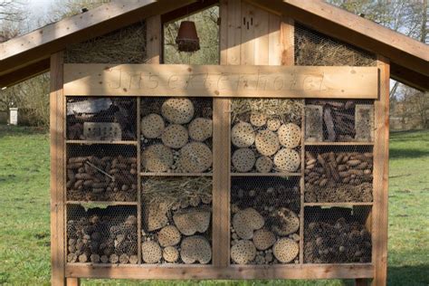 Just in time to pollinate my apricot, apple and cherry trees. How to Build a Mason Bee House and Bring More Pollinators ...