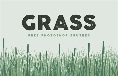 Free Grass Brushes for Photoshop | Photoshop, Photoshop pics, Photoshop brushes