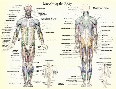 You can do the exercises online or download the worksheet as pdf. Pilates | ShannonHockensmith.com