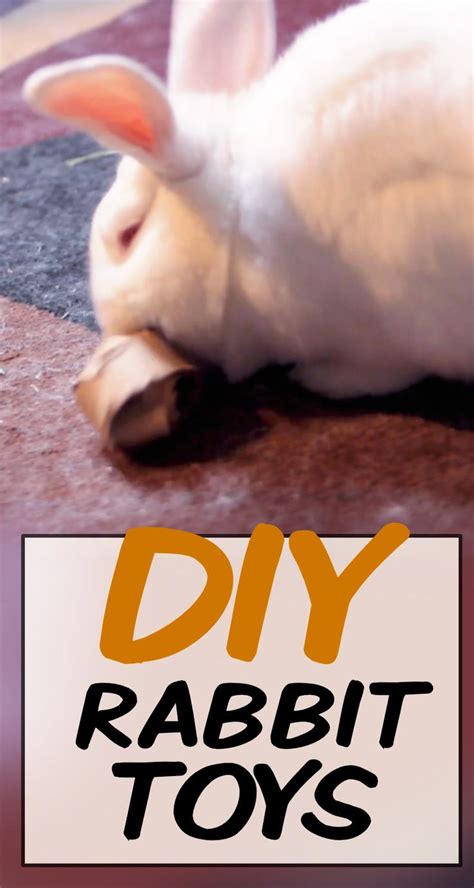 So every two weeks, take out the old ones and put in some new ones. 5 DIY Easy Rabbit Chew Toys To Make (A Step-by-Step Guide ...