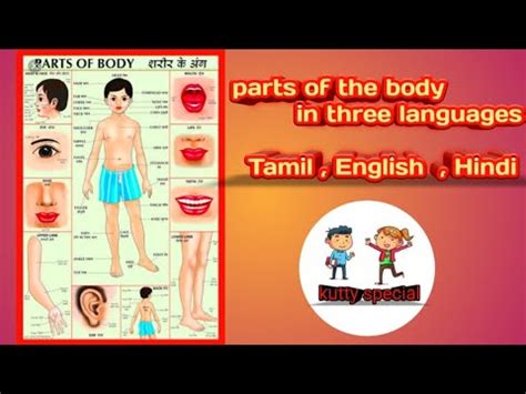 Body part names, leg parts, head parts, face parts names, arm body parts, parts of full hand. Parts of the body in three languages Tamil, English and ...