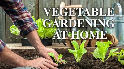 Avoid over watering and save water. Do You Dream Of #Harvesting Your Own #Home Grown # ...