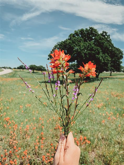 Hecho en california con marcos gutierrez es el programa de radio más escuchado en el área de la bahía de san francisco a través de la 1010 am flower inspo fort worth texas | Flowers, Fort worth texas ...