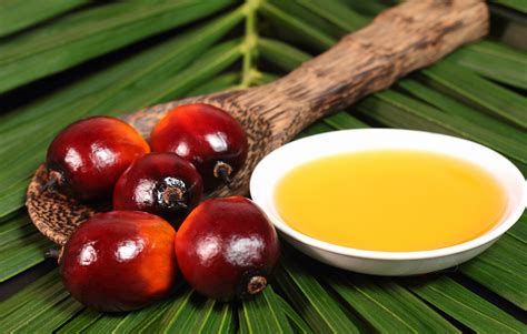 The red or orange fruits of palm trees are squashed and pulped to extract this beneficial oil. Palm Oil Plantations | SOS: Save The Orangutans