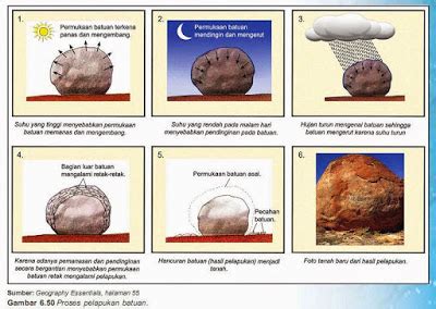 Tenaga eksogen adalah tenaga yang berasal dari luar perut bumi. Batuan Sedimen Hasil PETSL | Ilmu Batu Geologi