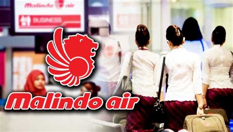 Share your flight and travel experiences. Malindo Air denies PSM's claim that 30 staff were sacked ...
