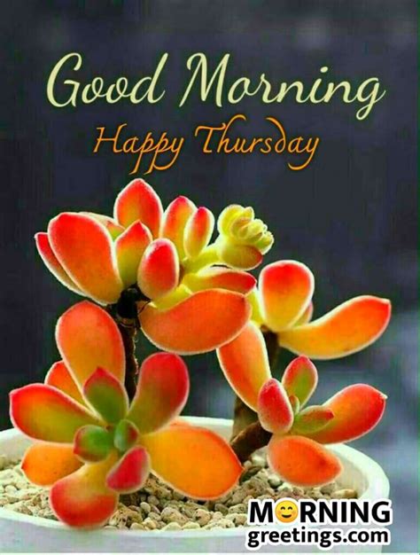 Good morning messages for friends: 50 Good Morning Happy Thursday Images - Morning Greetings ...