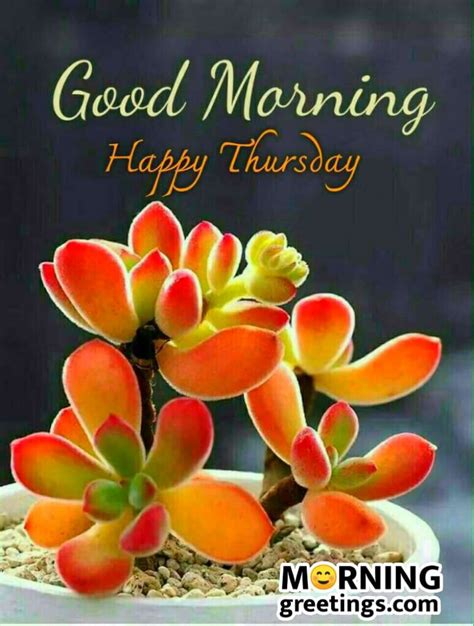 Happy blessed thursday quotes with couple kiss. 18 Cool Thursday Morning Greetings - Morning Greetings ...