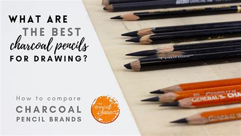 There are a lot of options. The Best Charcoal Pencil Brands and How to Compare Them