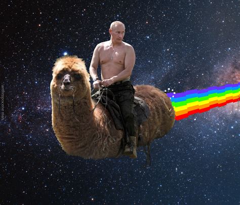 Can someone make wide khamenei or wide rouhani meme? 'Putin Rides' memes to be showcased at Dundee exhibition ...