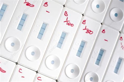 Lateral flow tests, also known as lateral flow immunochromatographic assays or rapid tests, are simple devices intended to detect the presence of a target substance in a liquid sample without the. Lateral flow test devices - Stock Image - C011/4248 ...