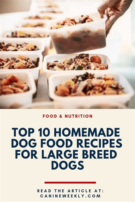 Check spelling or type a new query. Homemade dog food recipes for large breeds, fccmansfield.org