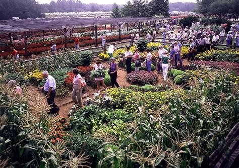 We can even custom create. Park Seed Trial Gardens - A look back | SC Festival of ...