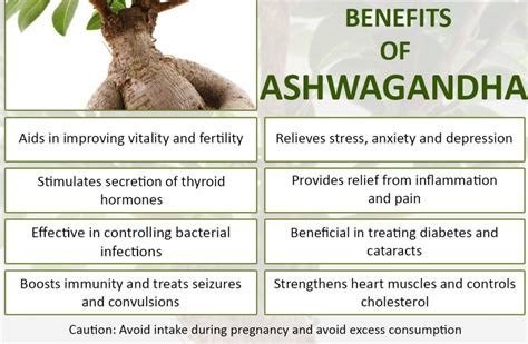 Ashwagandha itself works as a antidepressant. Know about 5 awesome ashwagandha benefits - My Health Only