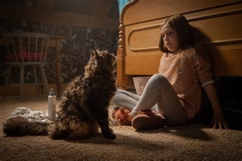 Louis und rachel creed beziehen mit ihren kindern gage und ellie ein neues haus auf dem land. „Friedhof der Kuscheltiere"-Kritik: So gruselig ist die ...