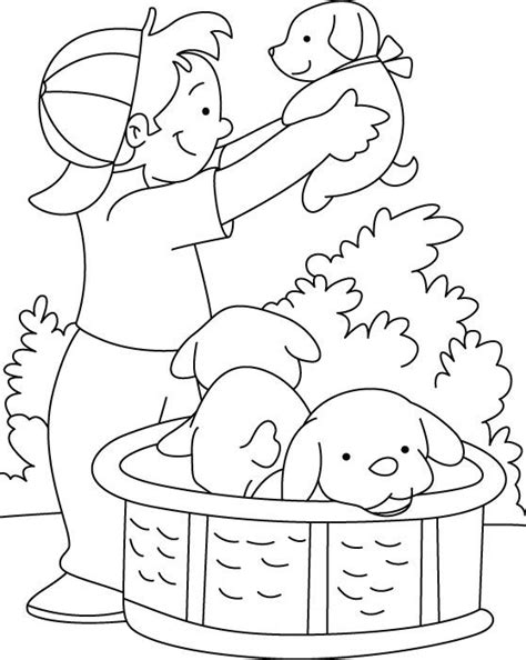 We have over 50 really cute designs that will help you occupy and educate your young children you will see that as the coloring pages for puppies is aimed at the lower age children, that the images are simple with large patches of white to color in. Boy playing with puppy coloring page in 2020 | Puppy ...